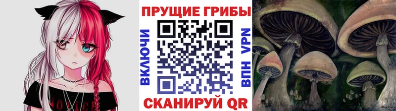 Галлюциногенные грибы мухоморы  где найти   Фролово 