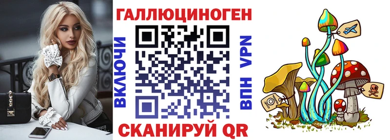 Галлюциногенные грибы Psilocybine cubensis Фролово